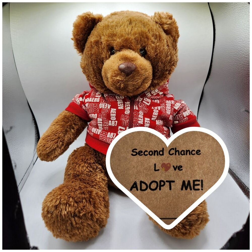 Aeropostale Teddy Bear Plush Brown Stuffed Animal with Red Zip Hoodie AERO 12"